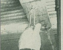 Yellow Dog-Oil Light Yellow Dog - Oil Rig Lamp Clipping from Emma Lou King Archives, Owned by Sandy & Sidney Cleveland. Credit to Olean Times Herald